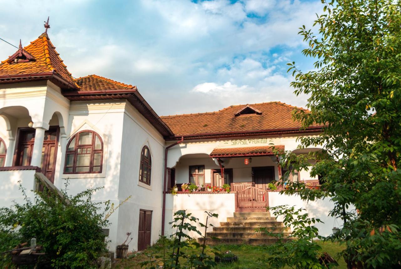 Surasul Muntelui Habitación en casa particular