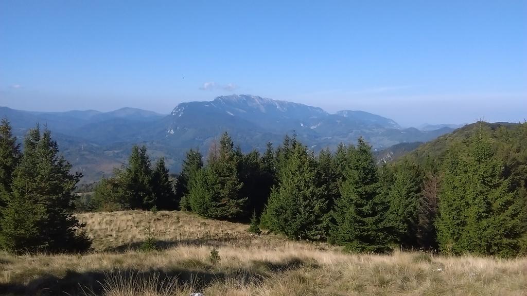 Surasul Muntelui * Dragoslavele